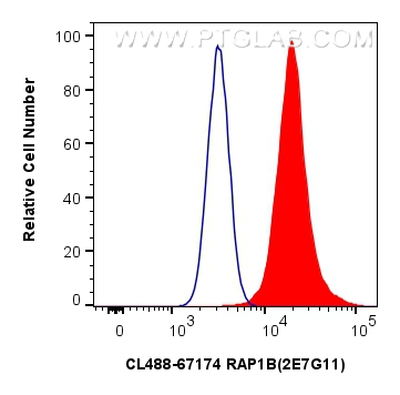 FC experiment of HeLa using CL488-67174