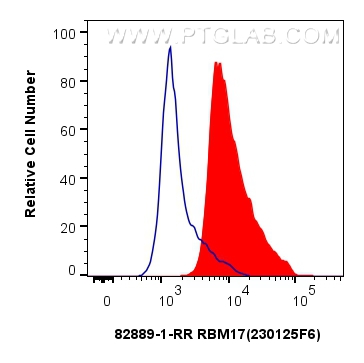 FC experiment of HepG2 using 82889-1-RR (same clone as 82889-1-PBS)