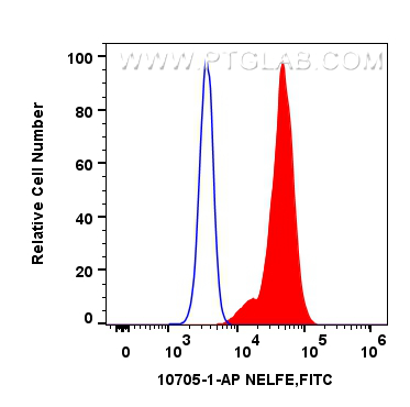 FC experiment of hela using 10705-1-AP