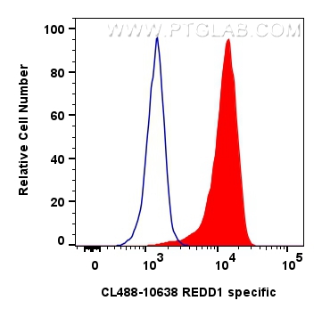 FC experiment of K-562 using CL488-10638