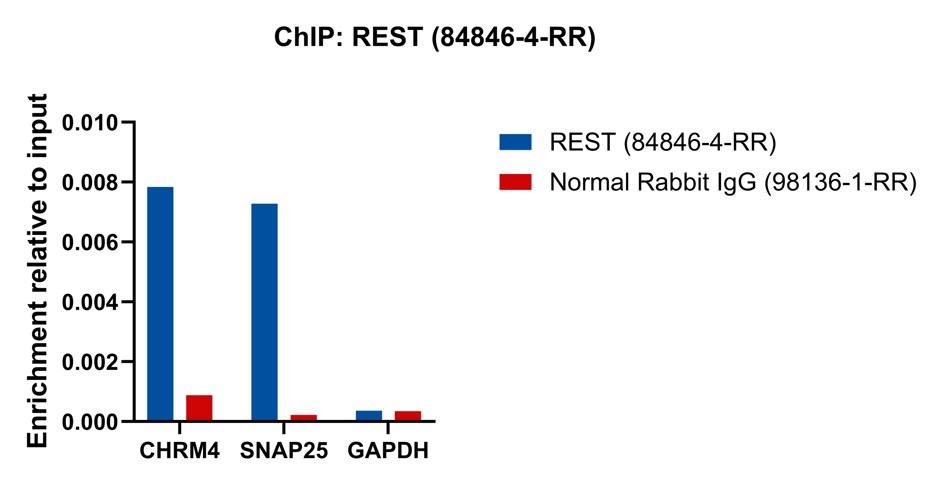 ChIP experiment of HeLa using 84846-4-RR (same clone as 84846-4-PBS)