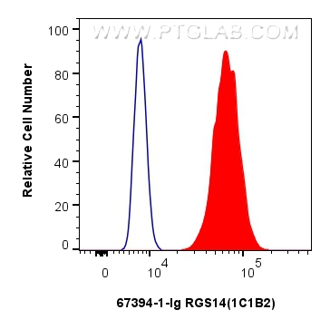 FC experiment of HeLa using 67394-1-Ig