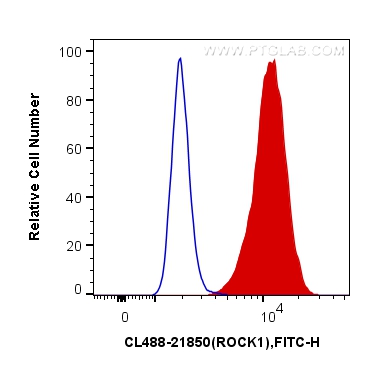 FC experiment of HeLa using CL488-21850