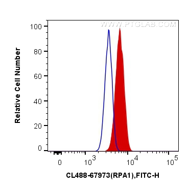 FC experiment of HeLa using CL488-67973