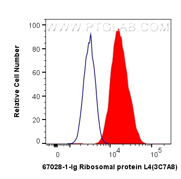 FC experiment of HepG2 using 67028-1-Ig