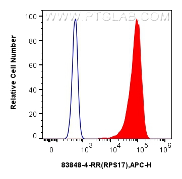 FC experiment of HeLa using 83848-4-RR (same clone as 83848-4-PBS)