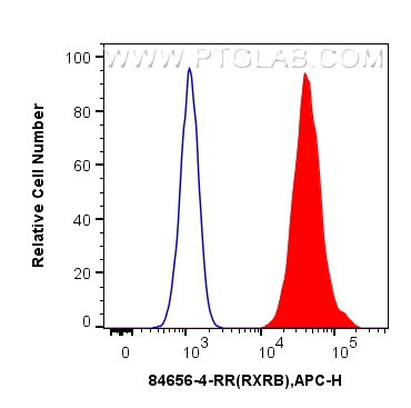 FC experiment of HeLa using 84656-4-RR (same clone as 84656-4-PBS)