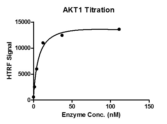 HTRF assay for recombinant AKT1 protein activity 1 μM STK S3 substrate was incubated with different concentrations AKT1 protein a 10 μl reaction system containing 1×Enzymatic Buffer, 5 mM MgCl2, 1 mM DTT, 5 nM SEB and 100 μM ATP for 1 hour. The 10 μl detection reagents containing STK antibody and SA-XL665, each of which was 1:100 diluted with 1× Detection Buffer were added and incubated with the reactions for 30 min. All the operations and reactions were performed at room temperature. HTRF KinEASE STK assay was used to detect the enzymatic activity.