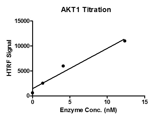 HTRF assay for recombinant AKT1 protein activity 1 μM STK S3 substrate was incubated with different concentrations AKT1 protein a 10 μl reaction system containing 1×Enzymatic Buffer, 5 mM MgCl2, 1 mM DTT, 5 nM SEB and 100 μM ATP for 1 hour. The 10 μl detection reagents containing STK antibody and SA-XL665, each of which was 1:100 diluted with 1× Detection Buffer were added and incubated with the reactions for 30 min. All the operations and reactions were performed at room temperature. HTRF KinEASE STK assay was used to detect the enzymatic activity.