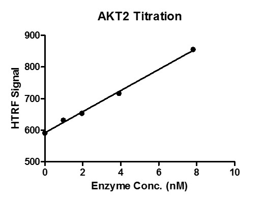 HTRF assay for recombinant AKT2 protein activity 1 uM STK S3 substrate was incubated with different concentrations AKT2 protein in a 10 ul reaction system for 1 hour. The 10 ul detection reagents were added and incubated with the reactions for 30 min. All the operations and reactions were performed at room temperature, and HTRF KinEASE STK assay was used to detect the enzymatic activity.