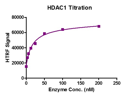 Recombinant HDAC1 activity by HTRF Assay. 1 μM H3K9ac (1-21aa.) peptide was incubated with different concentrations of HDAC1 protein in 10 μl reaction system containing 25 mM Tris-HCl pH 8.0, 137 mM NaCl, 2.7 mM KCl, 1 mM MgCl2, 0.1 mg/ml BSA for 30 min at room temperature, then 10 μl anti-H3K9me0 antibody and SA-XL665 mixture (1:100 dilution in HTRF Detection Buffer) was added to each reaction system and incubated for 30 min at room temperature. All operations and reactions were performed at room temperature. HTRF assay was used for detection. Recombinant HDAC1 activity by HTRF Assay. 1 μM H3K9ac (1-21aa.) peptide was incubated with different concentrations of HDAC1 protein in 10 μl reaction system containing 25 mM Tris-HCl pH 8.0, 137 mM NaCl, 2.7 mM KCl, 1 mM MgCl2, 0.1 mg/ml BSA for 30 min at room temperature, then 10 μl anti-H3K9me0 antibody and SA-XL665 mixture (1:100 dilution in HTRF Detection Buffer) was added to each reaction system and incubated for 30 min at room temperature. All operations and reactions were performed at room temperature. HTRF assay was used for detection.