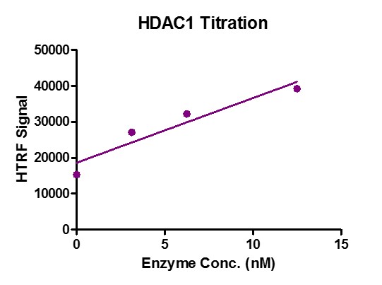 Recombinant HDAC1 activity by HTRF Assay. 1 μM H3K9ac (1-21aa.) peptide was incubated with different concentrations of HDAC1 protein in 10 μl reaction system containing 25 mM Tris-HCl pH 8.0, 137 mM NaCl, 2.7 mM KCl, 1 mM MgCl2, 0.1 mg/ml BSA for 30 min at room temperature, then 10 μl anti-H3K9me0 antibody and SA-XL665 mixture (1:100 dilution in HTRF Detection Buffer) was added to each reaction system and incubated for 30 min at room temperature. All operations and reactions were performed at room temperature. HTRF assay was used for detection. Recombinant HDAC1 activity by HTRF Assay. 1 μM H3K9ac (1-21aa.) peptide was incubated with different concentrations of HDAC1 protein in 10 μl reaction system containing 25 mM Tris-HCl pH 8.0, 137 mM NaCl, 2.7 mM KCl, 1 mM MgCl2, 0.1 mg/ml BSA for 30 min at room temperature, then 10 μl anti-H3K9me0 antibody and SA-XL665 mixture (1:100 dilution in HTRF Detection Buffer) was added to each reaction system and incubated for 30 min at room temperature. All operations and reactions were performed at room temperature. HTRF assay was used for detection.