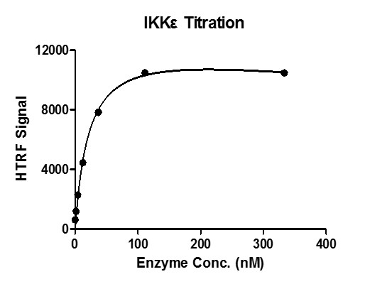 HTRF assay for IKKe activity 1 uM STK S3 substrate was incubated with different concentrations of IKKe protein in reaction system for 1 hour. The detection reagents were added and incubated with the reactions for 30 min. All the operations and reactions were performed at room temperature, and HTRF KinASE TK assay was used to detect the enzymatic activity. HTRF assay for IKKe activity 1 uM STK S3 substrate was incubated with different concentrations of IKKe protein in reaction system for 1 hour. The detection reagents were added and incubated with the reactions for 30 min. All the operations and reactions were performed at room temperature, and HTRF KinASE TK assay was used to detect the enzymatic activity.