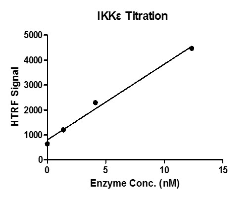 HTRF assay for IKKe activity 1 uM STK S3 substrate was incubated with different concentrations of IKKe protein in reaction system for 1 hour. The detection reagents were added and incubated with the reactions for 30 min. All the operations and reactions were performed at room temperature, and HTRF KinASE TK assay was used to detect the enzymatic activity. HTRF assay for IKKe activity 1 uM STK S3 substrate was incubated with different concentrations of IKKe protein in reaction system for 1 hour. The detection reagents were added and incubated with the reactions for 30 min. All the operations and reactions were performed at room temperature, and HTRF KinASE TK assay was used to detect the enzymatic activity.