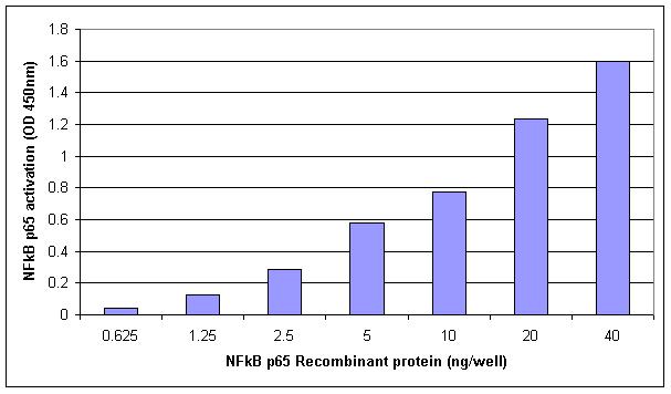 TransAM standard curve generated using Recombinant NFkB p65 protein. The standard curve for TransAM was generated using a range of 40 - 0.625 ng of protein and run on the TransAM NFkB p65 ELISA Kit.