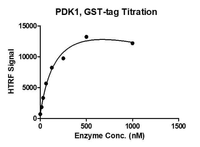 HTRF assay for Recombinant PDK1 protein, GST-Tag 1 uM STK S3 substrate was incubated with different concentrations of PDK1 protein in 10 ul reaction system containing 1×Enzymatic Buffer, 2 mM MgCl2, 1 mM DTT and 100 uM ATP for 1 hour. The detection reagents were added and incubated with the reactions for 1 hr. All the operations and reactions were performed at room temperature, and HTRF KinASE STK assay was used to detect the enzymatic activity. HTRF assay for Recombinant PDK1 protein, GST-Tag 1 uM STK S3 substrate was incubated with different concentrations of PDK1 protein in 10 ul reaction system containing 1×Enzymatic Buffer, 2 mM MgCl2, 1 mM DTT and 100 uM ATP for 1 hour. The detection reagents were added and incubated with the reactions for 1 hr. All the operations and reactions were performed at room temperature, and HTRF KinASE STK assay was used to detect the enzymatic activity.