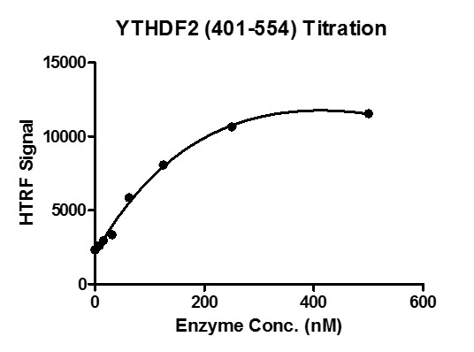 HTRF for YTHDF2 (401-554) activity 3 uM oligo m6A ssDNA (GTTGG/m6A/CTT) was incubated with different concentrations of YTHDF2 (401-554) protein in 10 ul reaction system containing 50 mM HEPES-NaOH pH 7.5, 0.1% BSA for 1 hour, then 10 ul FLAG antibody and SA-XL665 mixture (1:100 dilution in the same buffer) was added to each reaction system and incubated for 30 min. All the operations and reactions were performed at room temperature. HTRF assay was used for detection. HTRF for YTHDF2 (401-554) activity 3 uM oligo m6A ssDNA (GTTGG/m6A/CTT) was incubated with different concentrations of YTHDF2 (401-554) protein in 10 ul reaction system containing 50 mM HEPES-NaOH pH 7.5, 0.1% BSA for 1 hour, then 10 ul FLAG antibody and SA-XL665 mixture (1:100 dilution in the same buffer) was added to each reaction system and incubated for 30 min. All the operations and reactions were performed at room temperature. HTRF assay was used for detection.