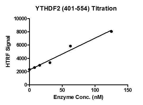 HTRF for YTHDF2 (401-554) activity 3 uM oligo m6A ssDNA (GTTGG/m6A/CTT) was incubated with different concentrations of YTHDF2 (401-554) protein in 10 ul reaction system containing 50 mM HEPES-NaOH pH 7.5, 0.1% BSA for 1 hour, then 10 ul FLAG antibody and SA-XL665 mixture (1:100 dilution in the same buffer) was added to each reaction system and incubated for 30 min. All the operations and reactions were performed at room temperature. HTRF assay was used for detection. HTRF for YTHDF2 (401-554) activity 3 uM oligo m6A ssDNA (GTTGG/m6A/CTT) was incubated with different concentrations of YTHDF2 (401-554) protein in 10 ul reaction system containing 50 mM HEPES-NaOH pH 7.5, 0.1% BSA for 1 hour, then 10 ul FLAG antibody and SA-XL665 mixture (1:100 dilution in the same buffer) was added to each reaction system and incubated for 30 min. All the operations and reactions were performed at room temperature. HTRF assay was used for detection.