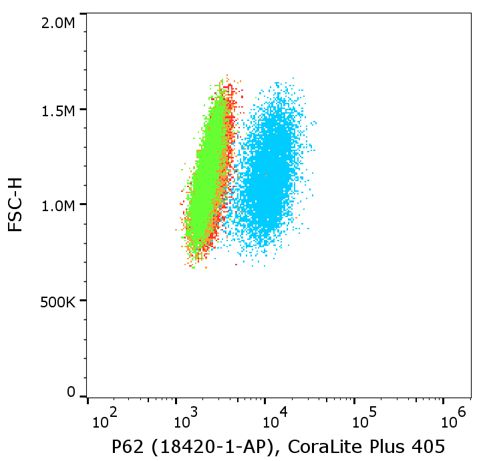 Flow cytometry of HEK293. 1X10^6 HEK293 cells were intracellularly stained with 0.5 µg anti-human P62 (SQSTM1) antibody (18420-1-AP) labeled with FlexAble CoraLite® Plus 405 Kit (KFA006, blue) or with 0.5 µg isotype control antibody labeled with FlexAble CoraLite® Plus 405 Kit (KFA006, red) or with FlexLinker CoraLite® Plus 405 for rabbit IgG (orange).  Unstained HEK293 cells were used as a reference (red). 
