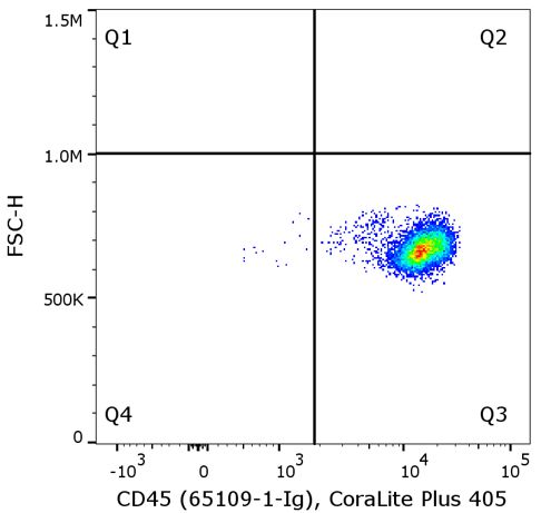 Flow cytometry of PBMC. 1X10^6 human peripheral blood mononuclear cells (PBMCs) were stained with 0.5 µg anti-human CD45 antibody (clone HI30, 65109-1-Ig) labeled with FlexAble CoraLite® Plus 405 Kit (KFA026).