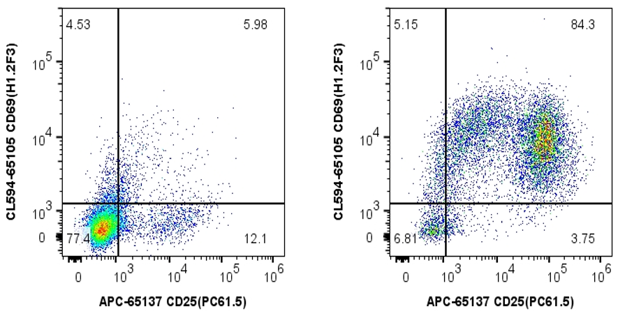 10^7 BALB/c mouse splenocytes in 2 ml cell culture media were activated by Mouse CD3/CD28 T cell Activation Beads Kit for 2 days at a 1.3:1 bead to cell ratio. Unstimulated cells (left panel) and stimulated cells (right panel) were stained with flow antibodies: APC-CD25 and CL594-CD69. Total viable lymphocytes were gated.