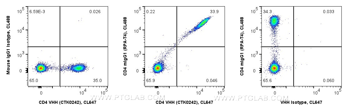 <b>Human PBMCs competitively co-stained with anti-CD4 recombinant VHH and anti-CD4 RPA-T4 in Flow Cytometry</b>
<br/>1x10^6 human PBMCs were surface co-stained in 100 µL with 0.25 µg anti-CD4 recombinant VHH, CoraLite® Plus 647 (MG-1229CL647, Clone: CTK0242) mixed with 5 µL Anti-Human CD4, CoraLite® Plus 488 (CL488-65143, Clone: RPA-T4) (middle). As controls 0.25 µg VHH were co-stained with 0.25 µg Mouse IgG1, κ Isotype Control, CoraLite® Plus 488 (CL488-98742-2, Clone: MOPC-21) (left), and 5 µL RPA-T4 were co-stained with 0.25 µg recombinant VHH Isotype Control, CoraLite® Plus 647 (Clone: CTK0201, right). Fc-receptors were blocked. Viability Dye (PD00002) was used. Cells were not fixed. Viable lymphocytes were gated. 
Anti-Human CD4 recombinant VHH effectively co-stains the same CD4+ population as the conventional Anti-Human CD4 clone RPA-T4 (mIgG1). Close proximity of different VHH and IgG epitopes on identical CD4 molecules likely causes a CL488 to CL647 FRET effect, observable by an increased signal intensity of the CD4 VHH-positive stained cells co-stained with RPA-T4 compared to the CD4 VHH-positive stained cells co-stained with the mIgG1 Isotype Control.