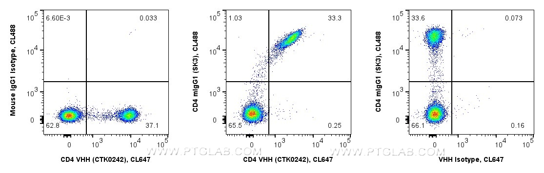 <b>Human PBMCs competitively co-stained with anti-CD4 recombinant VHH and anti-CD4 SK3 in Flow Cytometry</b>
<br/>1x10^6 human PBMCs were surface co-stained in 100 µL with 0.25 µg anti-CD4 recombinant VHH, CoraLite® Plus 647 (MG-1229CL647, Clone: CTK0242) mixed with 5 µL Anti-Human CD4, CoraLite® Plus 488 (CL488-65147, Clone: SK3) (middle). As controls 0.25 µg VHH were co-stained with 0.25 µg Mouse IgG1, κ Isotype Control, CoraLite® Plus 488 (CL488-98742-2, Clone: MOPC-21) (left), and 5 µL SK3 were co-stained with 0.25 µg recombinant VHH Isotype Control, CoraLite® Plus 647 (Clone: CTK0201, right). Fc-receptors were blocked. Viability Dye (PD00002) was used. Cells were not fixed. Viable lymphocytes were gated. 
Anti-Human CD4 recombinant VHH clone CTK0242 effectively co-stains the same CD4+ population as the conventional Anti-Human CD4 Mouse IgG1 clone SK3. Decreased signal intensity of CD4 VHH-positive stained cells co-stained with SK3 compared to CD4 VHH-positive stained cells co-stained with the mIgG1 Isotype Control indicate competition for an identical or overlapping epitope of CD4 bound by VHH and SK3. 