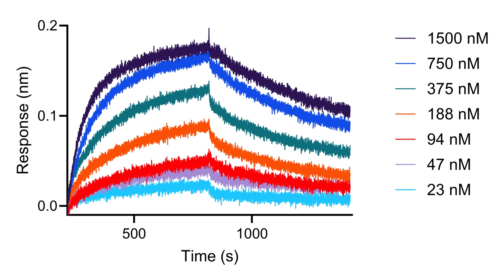 <b>Affinity Data</b><br/>
BLI analysis of the interaction between varying concentrations of anti-CD33 recombinant VHH (MG-1230CC, Clone: CTK0243) and immobilized, biotinylated CD33 protein.