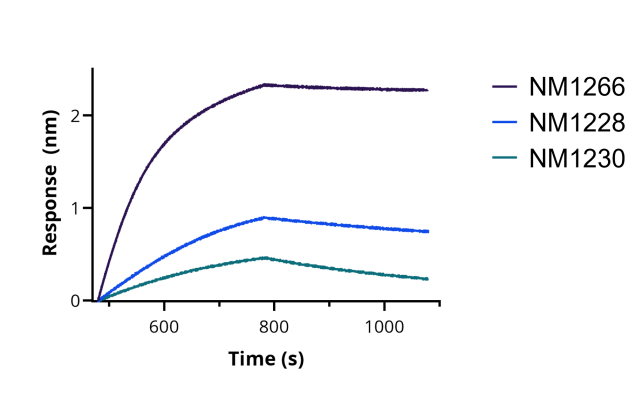 BLI binding kinetics of SARS-CoV-2 Spike Recombinant VHH [NM1266] to RBD. Biotinylated RBD was immobilized on FortéBio Streptavidin (SA) Biosensors and assayed with 25 nM of SARS- CoV-2 Spike Recombinant VHH [NM1266] (ChromoTek sc-NM1266). For comparison the binding kinetics of 25 nM SARS-CoV-2 Spike Recombinant VHH [NM1228] (ChromoTek sc- NM1228) and SARS-CoV-2 Spike Recombinant VHH [NM1230] (ChromoTek sc-NM1230) are shown.