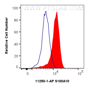 FC experiment of HeLa using 11250-1-AP