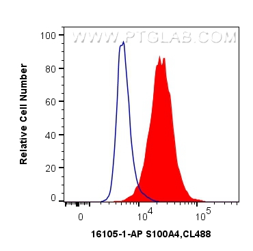 FC experiment of HeLa using 16105-1-AP