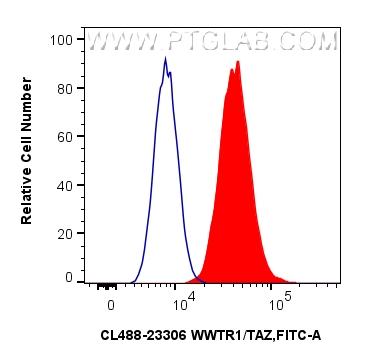 FC experiment of HeLa using CL488-16105