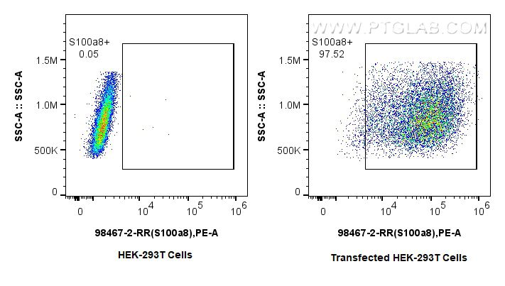 FC experiment of Transfected HEK-293T using 98467-2-RR (same clone as 98467-2-PBS)