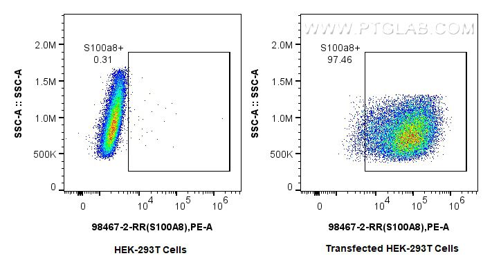 FC experiment of Transfected HEK-293T using 98467-2-RR