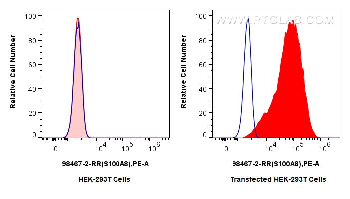 FC experiment of Transfected HEK-293T using 98467-2-RR