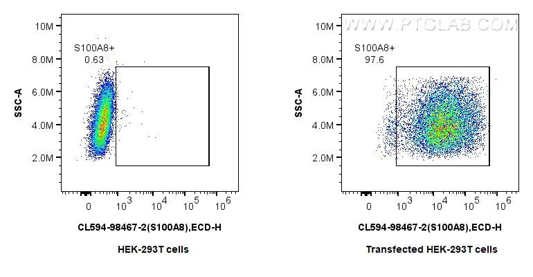FC experiment of Transfected HEK-293T using CL594-98467-2