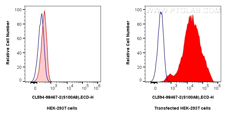 FC experiment of Transfected HEK-293T using CL594-98467-2