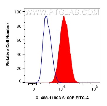 FC experiment of SK-MEL-28 using CL488-11803 FC experiment of SK-MEL-28 using CL488-11803