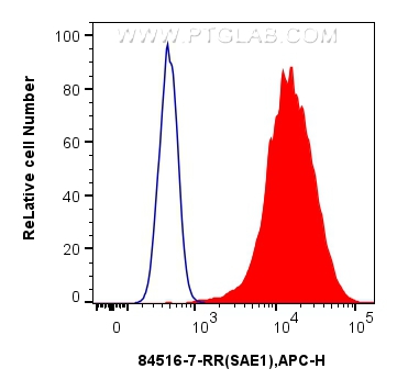 FC experiment of HeLa using 84516-7-RR