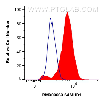 FC experiment of K-562 using RMX00060