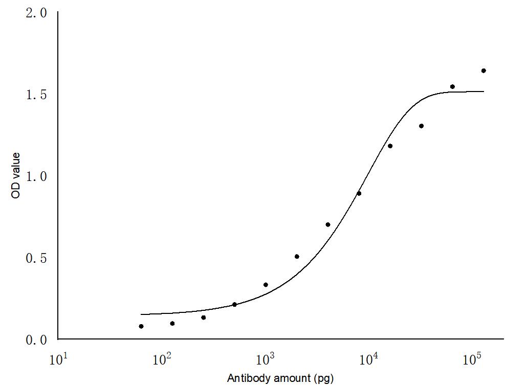 ELISA experiment of Recombinant protein using 29264-1-AP