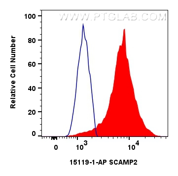 FC experiment of HEK-293 using 15119-1-AP