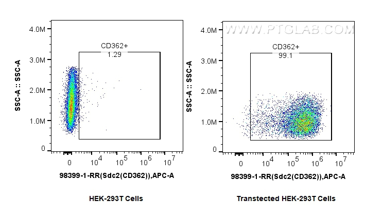 FC experiment of Transfected HEK-293T using 98399-1-RR (same clone as 98399-1-PBS) FC experiment of Transfected HEK-293T using 98399-1-RR (same clone as 98399-1-PBS)