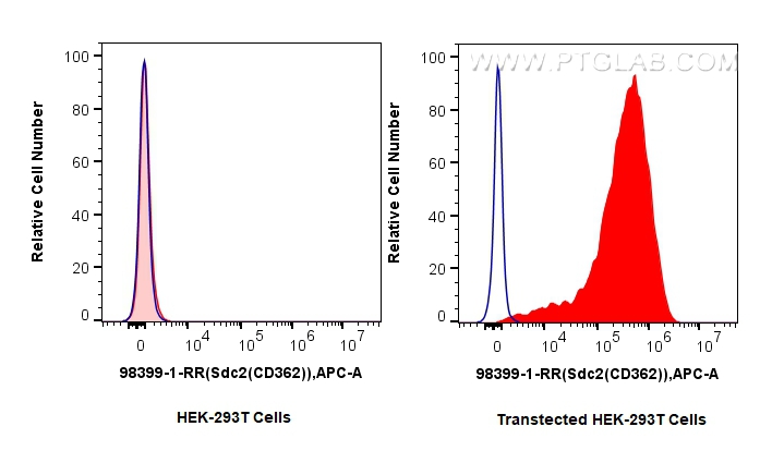 FC experiment of Transfected HEK-293T using 98399-1-RR (same clone as 98399-1-PBS) FC experiment of Transfected HEK-293T using 98399-1-RR (same clone as 98399-1-PBS)