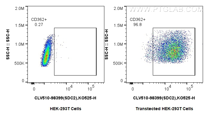 FC experiment of Transfected HEK-293T using CLV510-98399