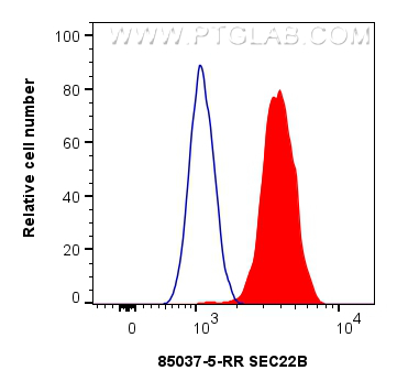 FC experiment of SH-SY5Y using 85037-5-RR