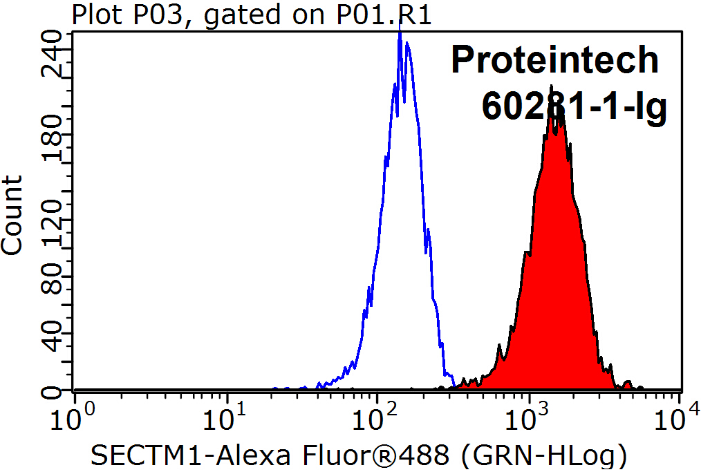 FC experiment of K-562 using 60281-1-Ig