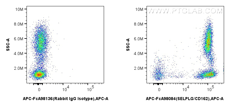 FC experiment of human peripheral blood leukocytes using APC-FcA98084