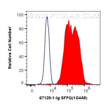 FC experiment of HeLa using 67129-1-Ig