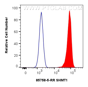 1x10^6 U2OS cells were intracellularly stained with 0.25 ug SHMT1 Recombinant monoclonal antibody (85758-5-RR, Clone:243008E2) and CoraLite®488-Conjugated Goat Anti-Rabbit IgG(H+L) (<a class='green' href='/productredirect?CatalogNo=SA00013-2' target='_blank'>SA00013-2</a>)(red), or 0.25 ug Isotype Control (blue). Cells were fixed and permeabilized with Intracellular Flow Cytometry Fixation & Permeabilization Buffer Kit (<a class='green' href='/productredirect?CatalogNo=PF00019' target='_blank'>PF00019</a>). FC experiment of U2OS using 85758-5-RR